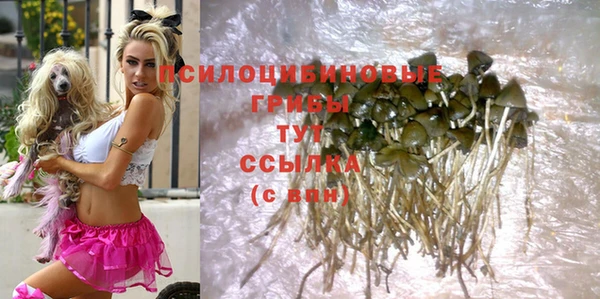 прущие крисы Кодинск