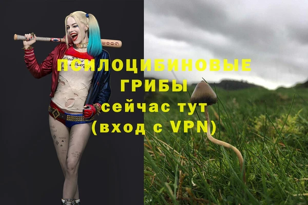 альфа пвп Козловка