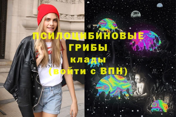 дурь Козельск
