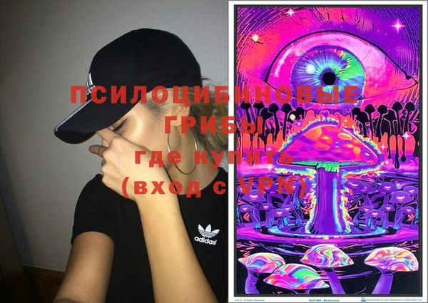 прущие крисы Кодинск